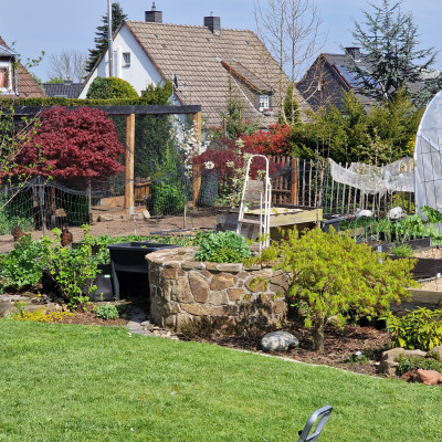 Der Garten Der Garten